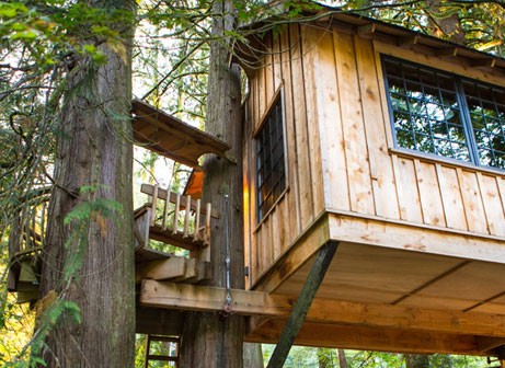 La cabane dans les arbres, un rêve d'enfant