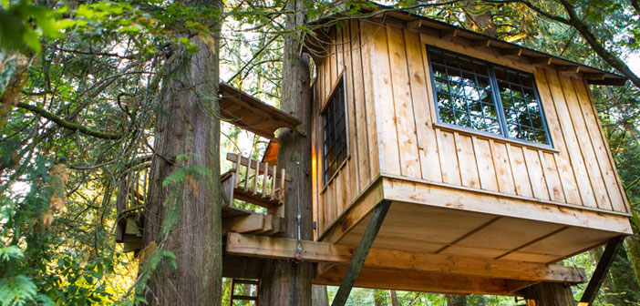 La cabane dans les arbres, un rêve d'enfant